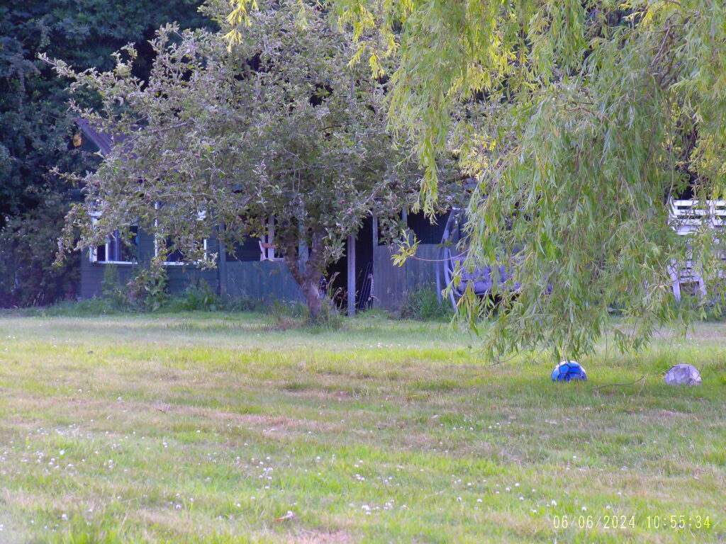 Campitch campsite photo